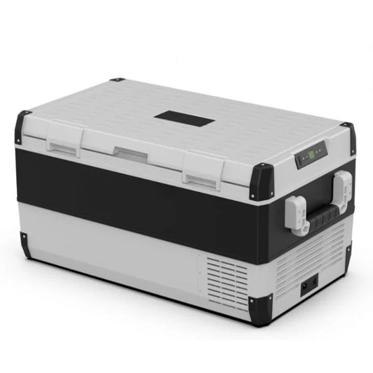 FROZEN COOLER FC-100