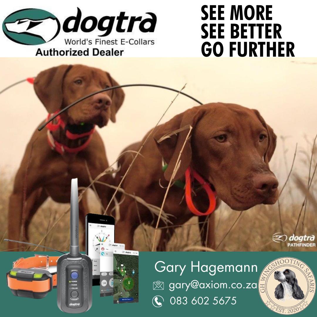 Dogtra Collar