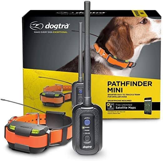 Dogtra Collar