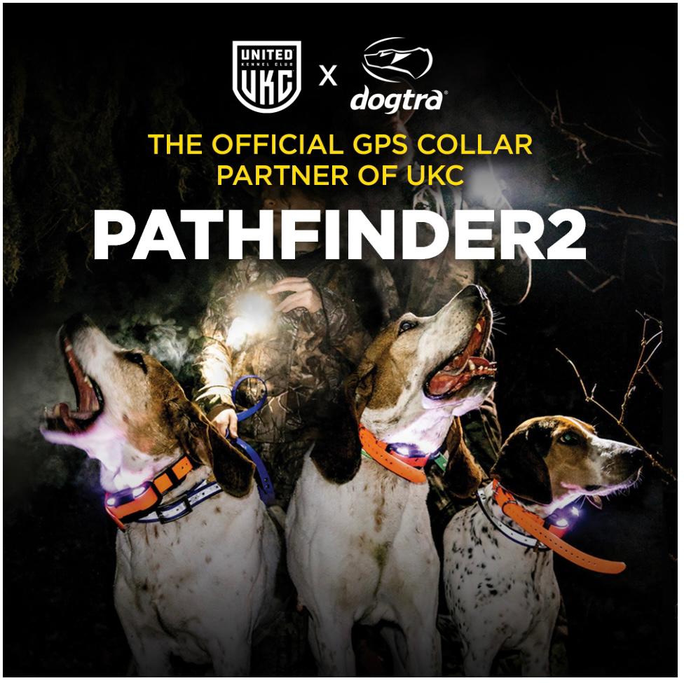 Dogtra Pathfinder 2 Training Collars