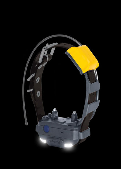 Dogtra Pathfinder 2 Training Collars