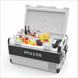 FROZEN COOLER FC-100